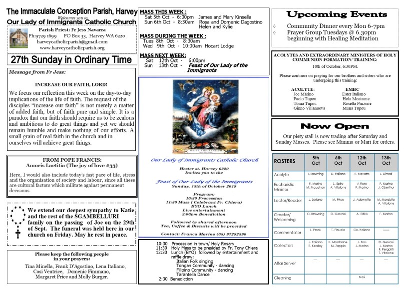 27th Sunday in Ordinary Time 2019