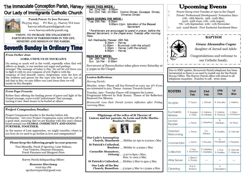 Seventh Sunday in Ordinary Time