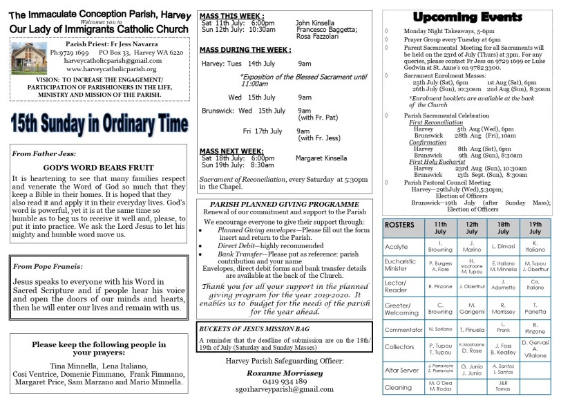 15th Sunday in Ordinary Time